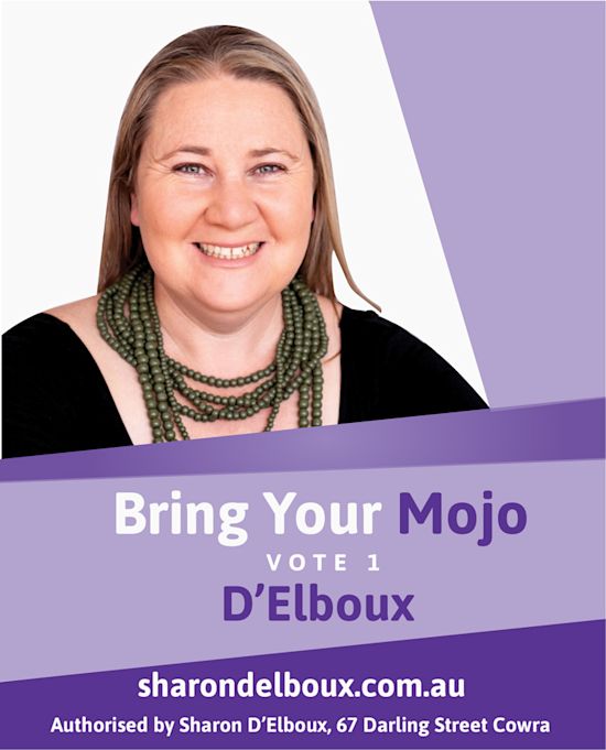 Vote 1 - D'Elboux – Target