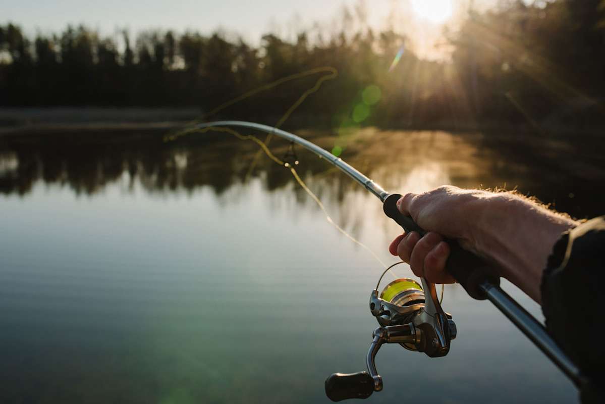 Anglers Reminded To Follow The Rules | The Cowra Phoenix - Cowra Region ...