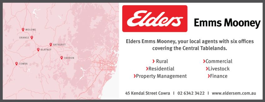 Elders Emms Mooney – Above