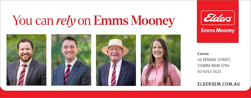 Elders Emms Mooney – Above