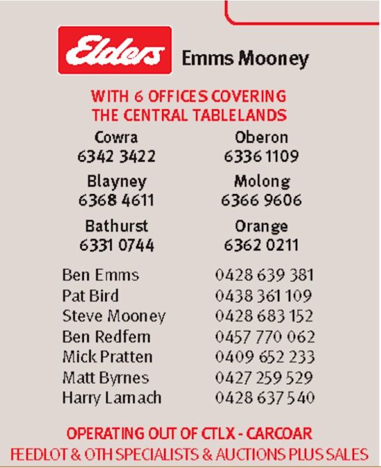 Elders Emms Mooney – Side