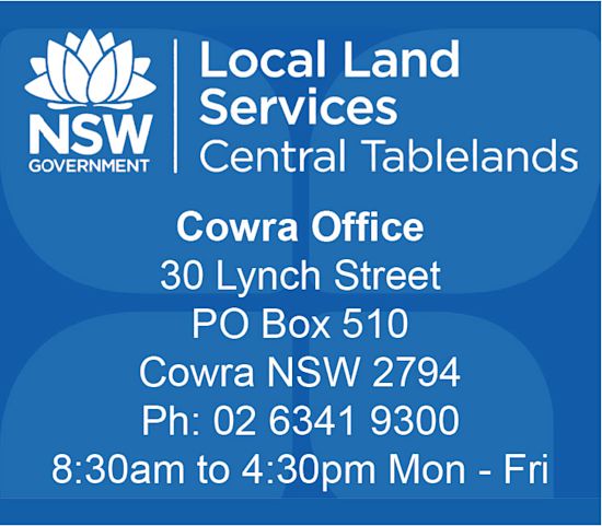 Local Land Services