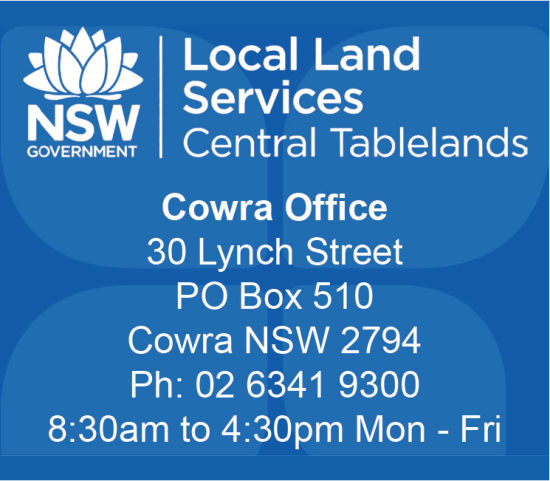 Local Land Services