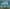 cropped image 1756175159