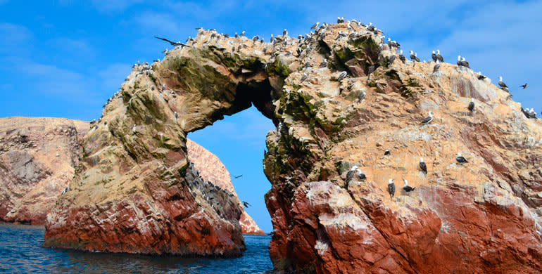 Cover Image for Descubre las principales reservas naturales del Perú, su biodiversidad y belleza