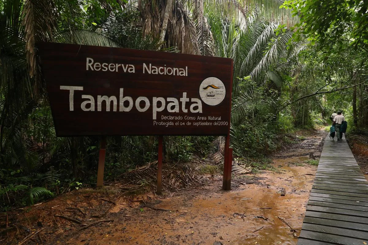 Cover Image for Maravilla Natural Amazónica de Tambopata, Perú