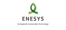Enesys Logo