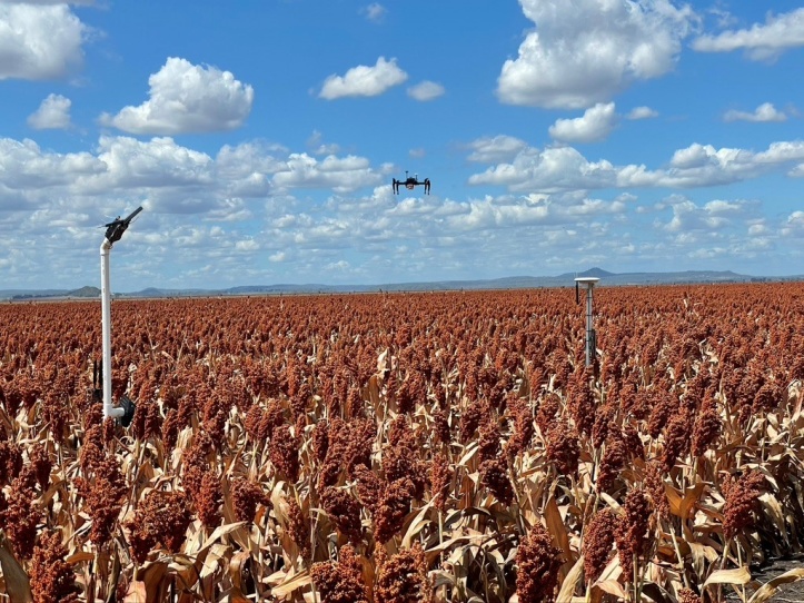 AirBorn Insight > Aerial Phenotyping for Plant Breeding Research > e2267d66-ae58-46f0-9651-28027a2e8759 - drone%20and%20sensors%20over%20sorghum