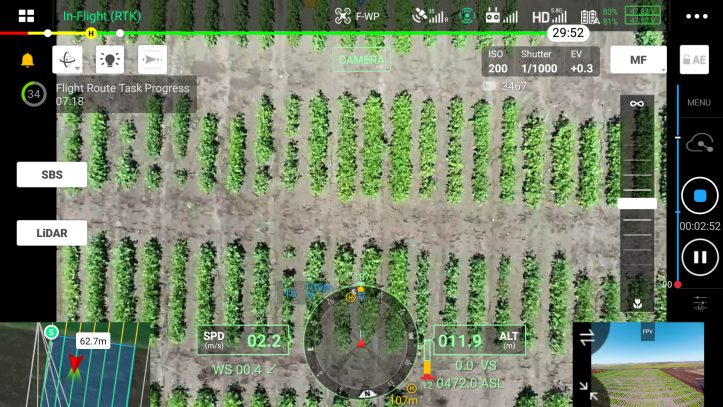 AirBorn Insight > Aerial Phenotyping for Plant Breeding Research > e2267d66-ae58-46f0-9651-28027a2e8759 - Screenshot_20220323-112314