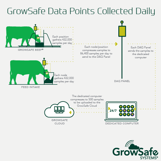 growsafe_server_data_points_analysis_gs