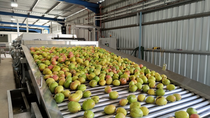 P and C Automation > Fruit Infeed & Treatment Solutions  > 3735a40f-1ec6-4b84-ae04-d8d6f6ab3cbc - P%26C_0004