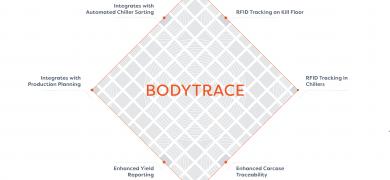 bodytrace-diagramcentral