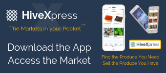 copy_of_the_markets_in_your_pocket