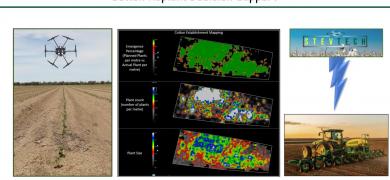 stevtech Cotton Replant