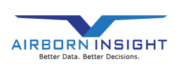 AirBorn Insight logo