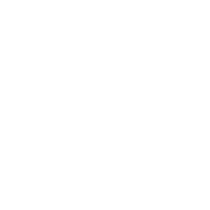 Daloopa