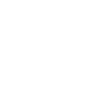 SEC Filings