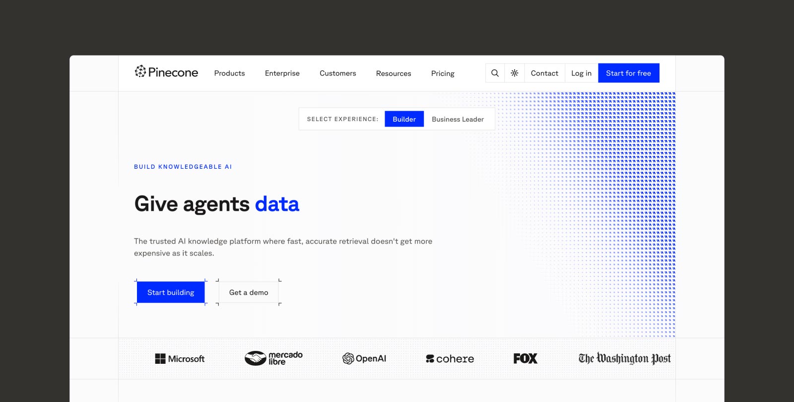 Screenshot of the Pinecone homepage 