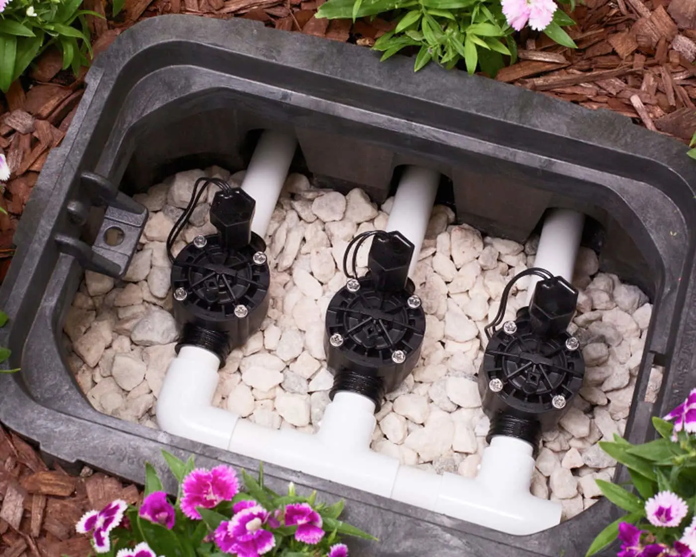 Irrigation valve box with three solenoid valves installed in gravel, surrounded by mulch and pink flowers in a garden.