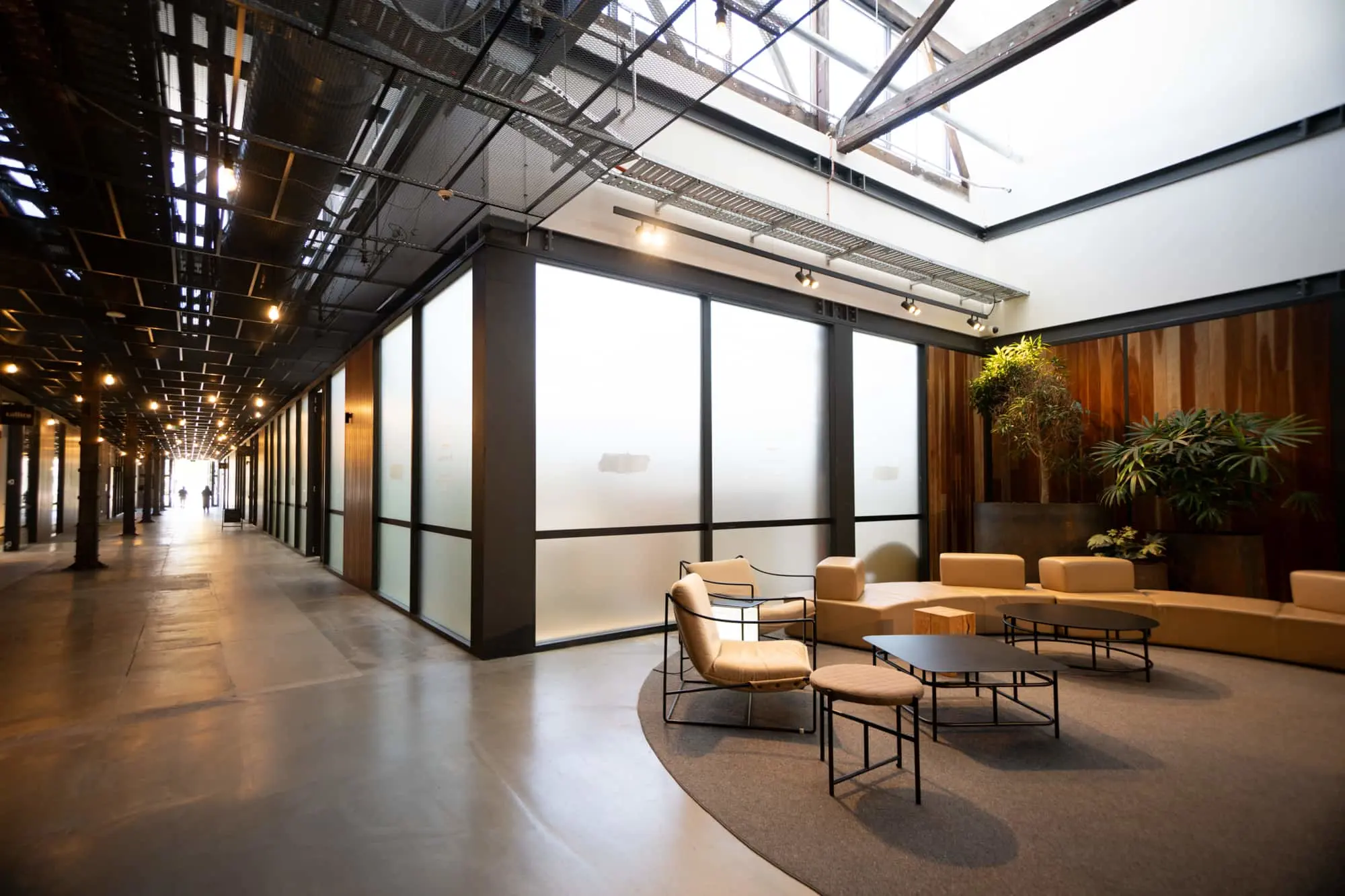 Modern hallway with frosted glass walls, tan seating area, plants, and skylight above.