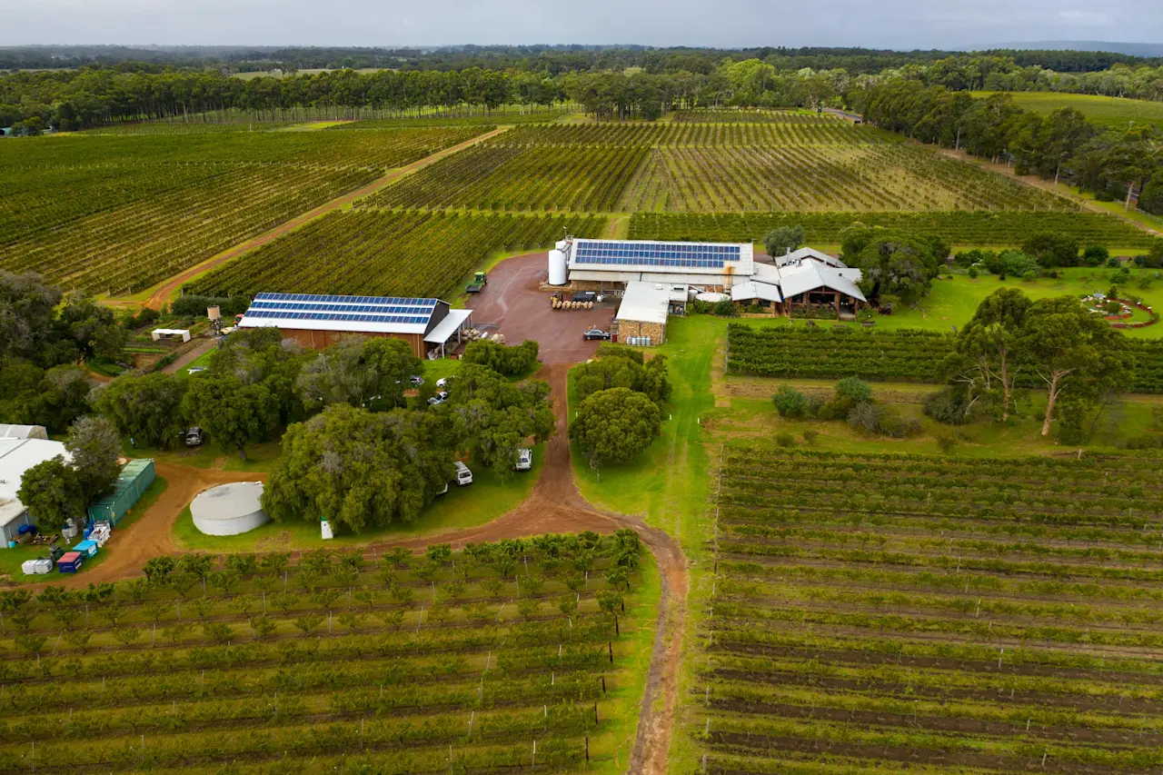 Aerial view of a winery with solar panels on buildings, surrounded by neat rows of grapevines and forested areas.