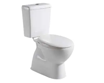 Posh Solus close coupled back-to-wall toilet.