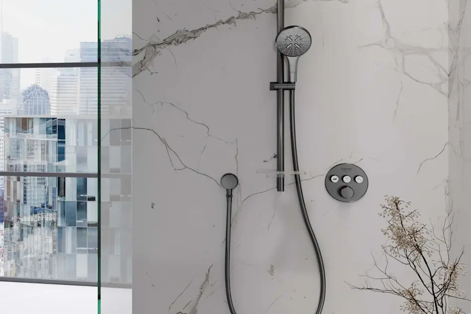 Modern shower with Grohe fixtures on marble wall, glass partition showing city skyline view, decorative plant branch.