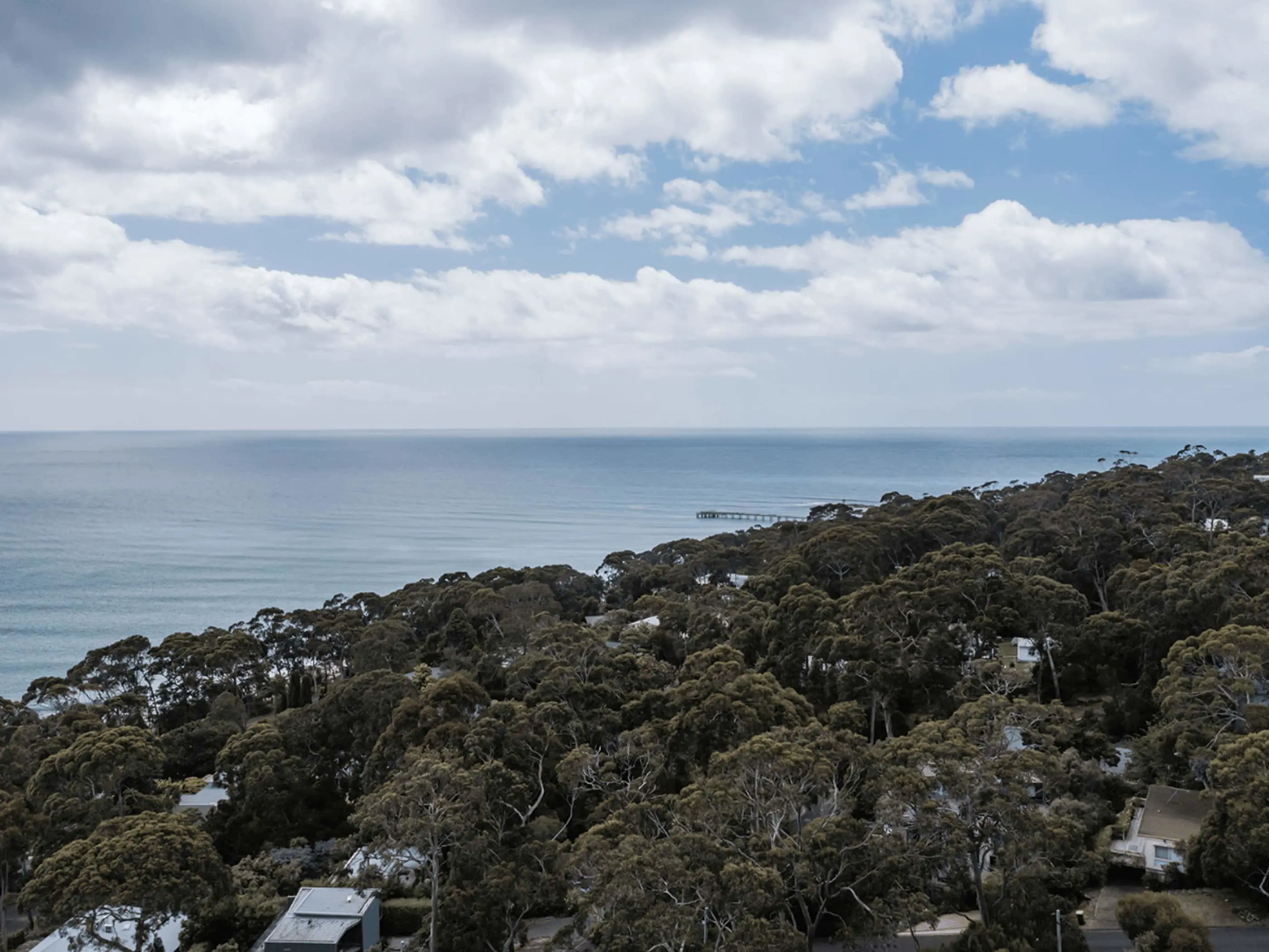 Aerial view of coastal forest with dense trees, scattered houses, and a small pier extending into the calm blue ocean.