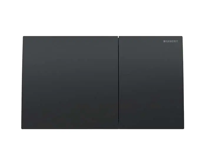 Geberit dual flush button in black chrome