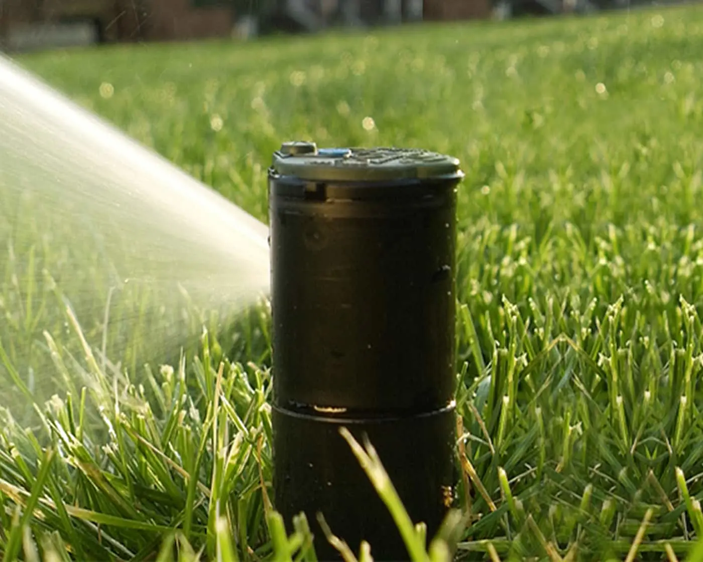 Black lawn sprinkler head in green grass spraying water in sunlight.