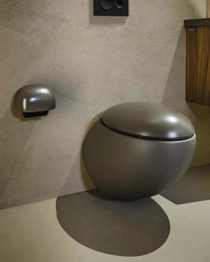 A spherical dark grey toilet against a beige wall, with a matching oval toilet paper holder mounted nearby.