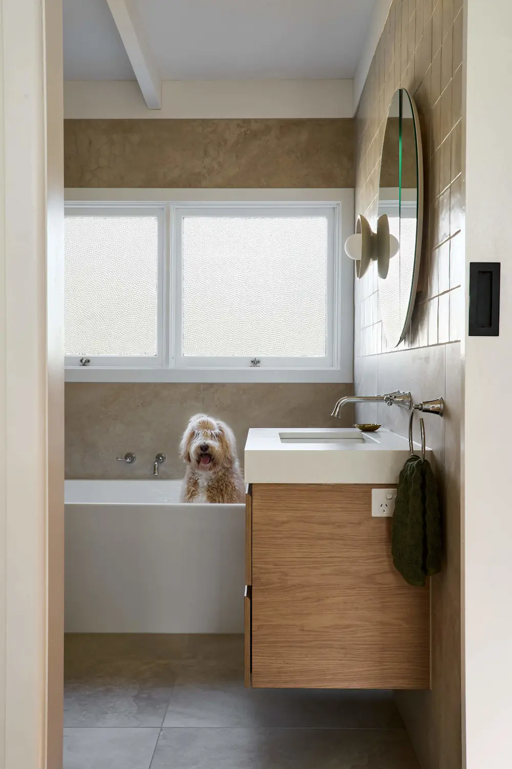 Fluffy white dog sitting in a modern bathroom with beige walls, wooden vanity, and frosted windows.