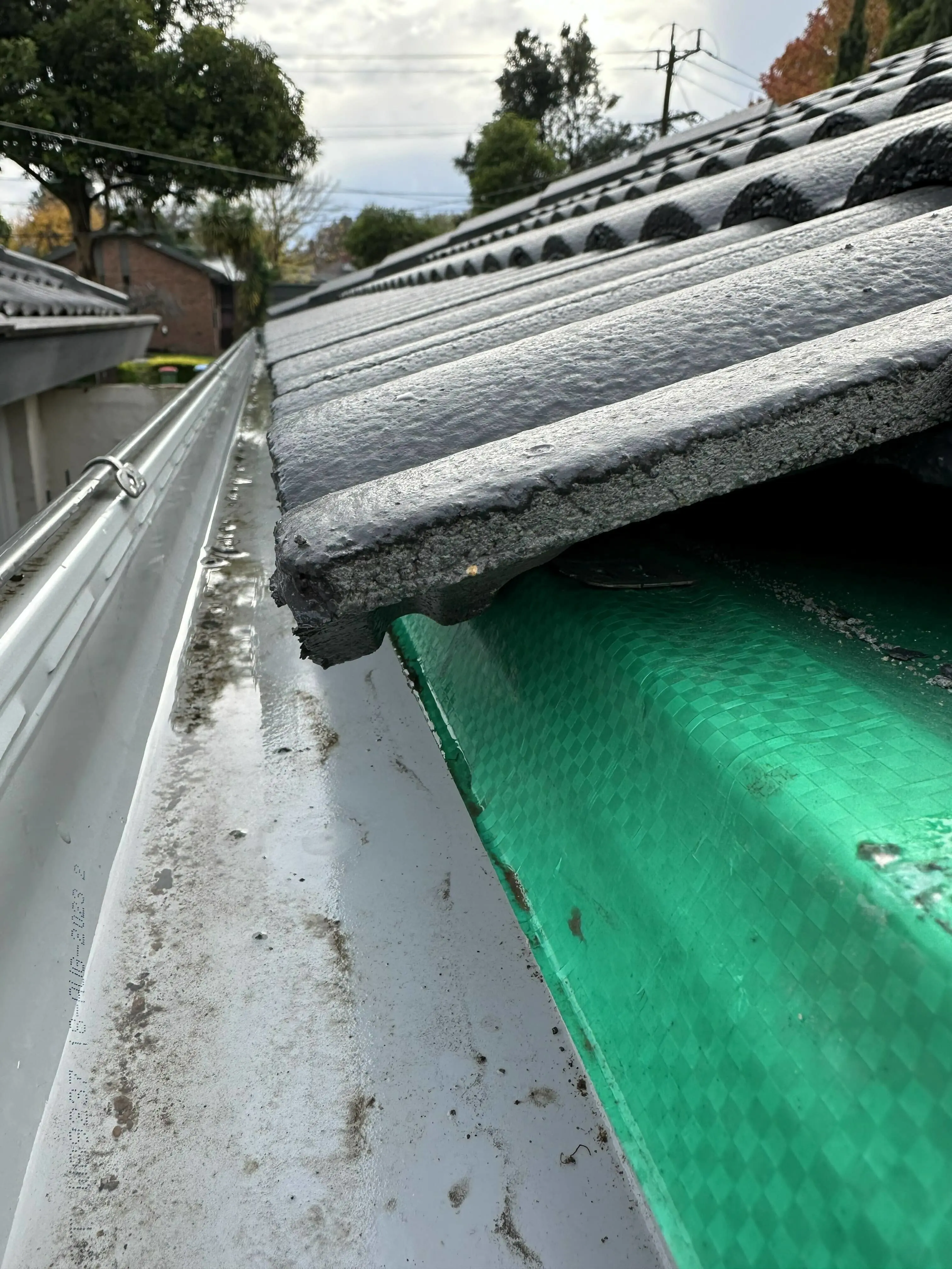 Close-up of a tiled roof edge with white rain gutter and green mesh guard underneath, trees visible in background.