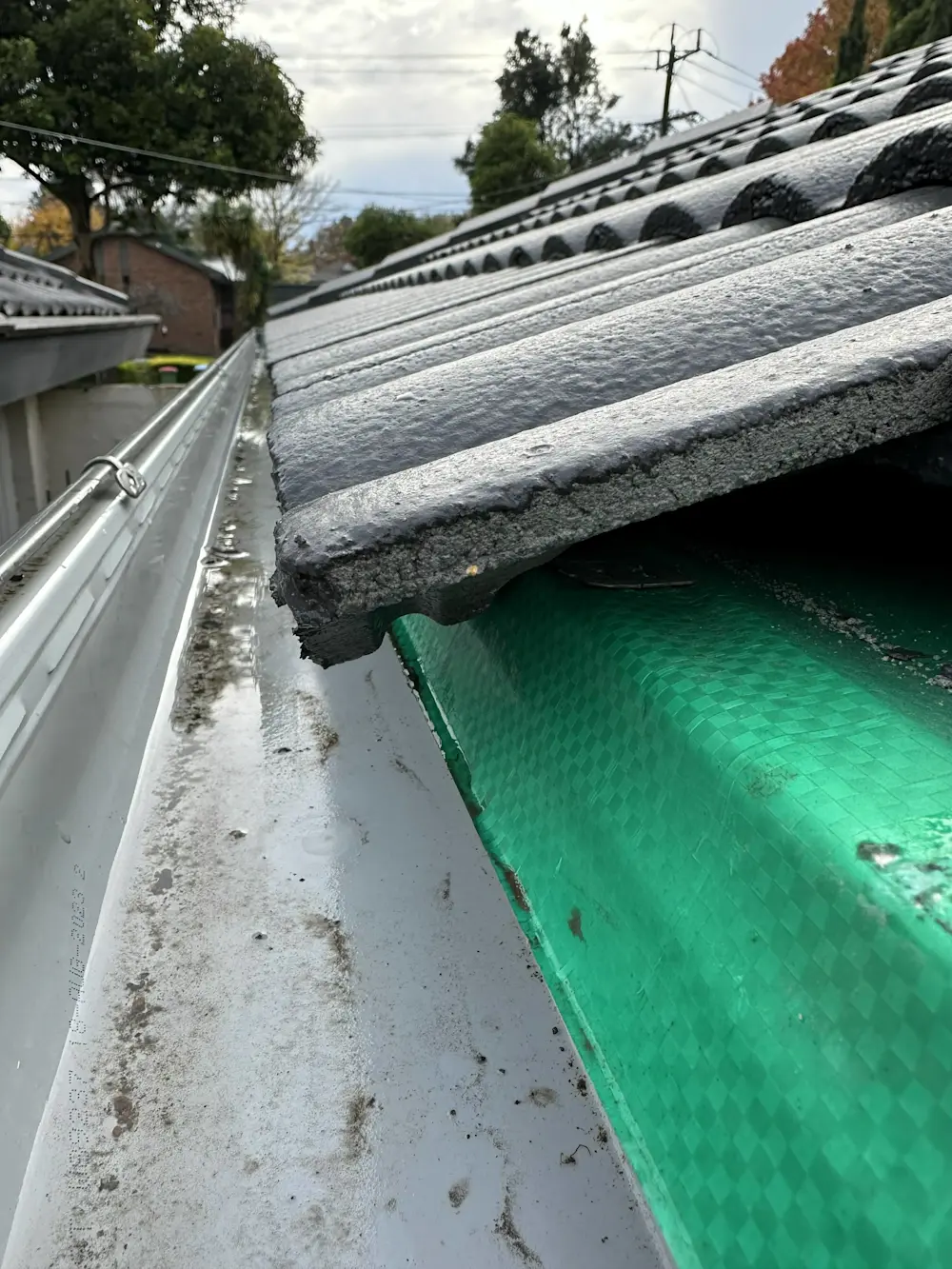 Close-up of a tiled roof edge with white rain gutter and green mesh guard underneath, trees visible in background.