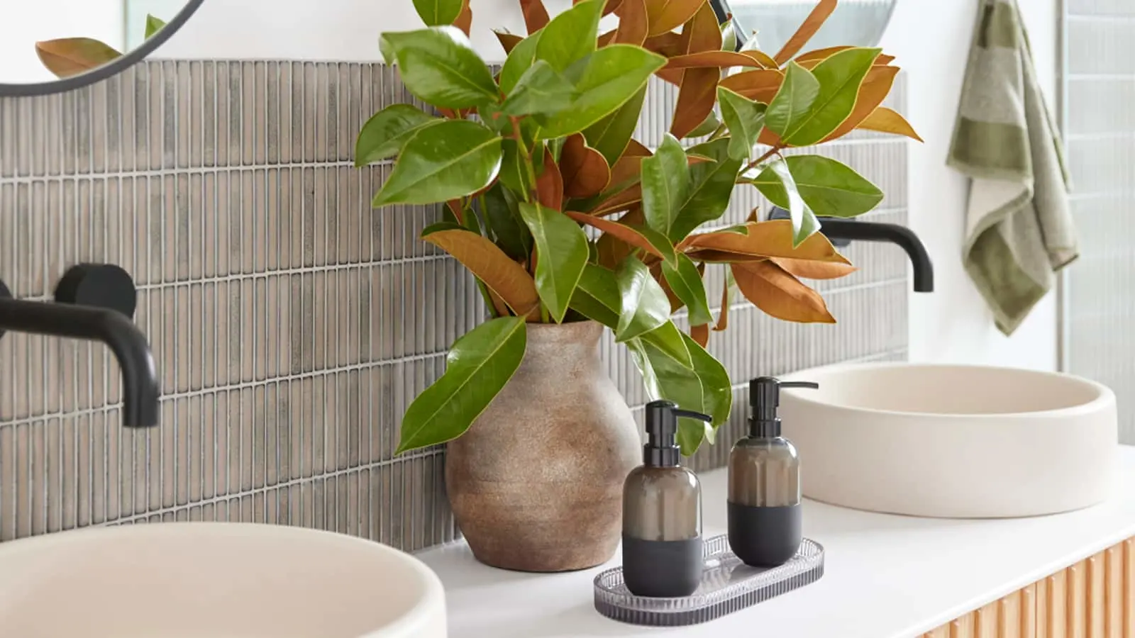 Plant with green and copper leaves in ceramic vase on bathroom counter with soap dispensers and white sink.