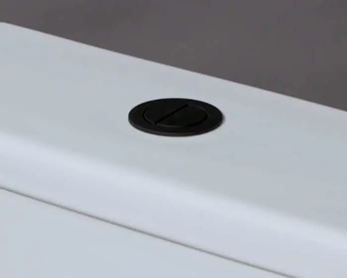 Black circular flush button on a white toilet.