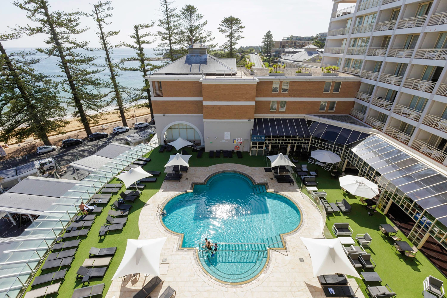Aerial view of a beachfront hotel with a blue swimming pool, sun loungers, and tall pine trees overlooking the ocean.
