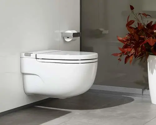 Modern wall-mounted white toilet in a bathroom with gray floor and decorative red plant in corner.