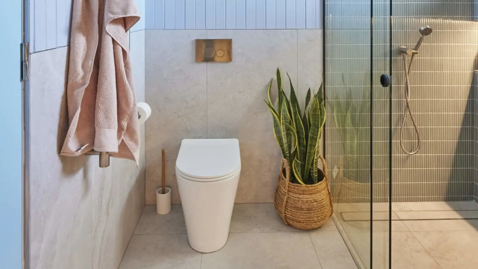 Modern bathroom with white toilet, glass shower, pink towel, and snake plant in woven basket.