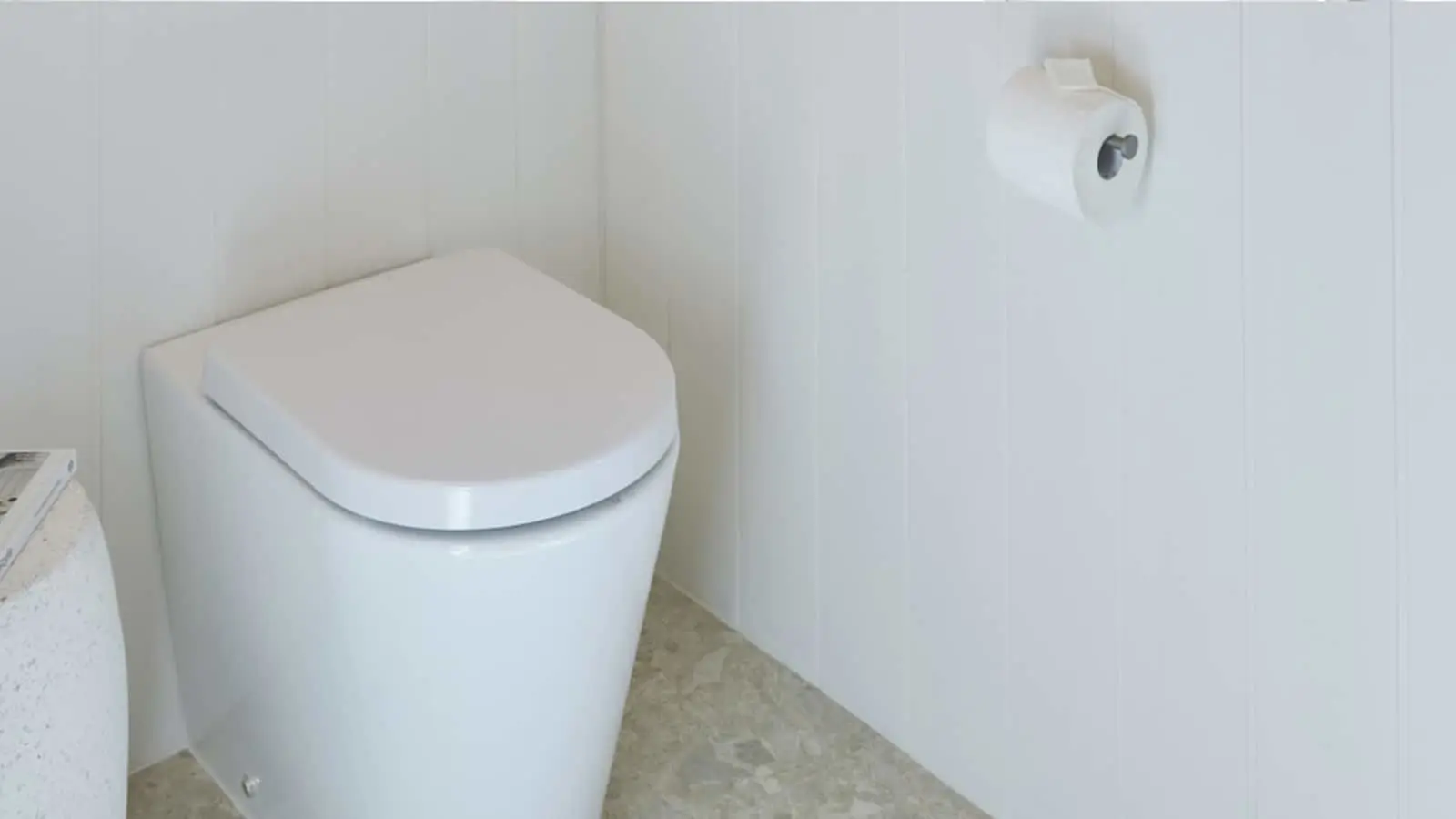 White toilet with closed lid in a bathroom with white walls and toilet paper holder mounted on the wall.