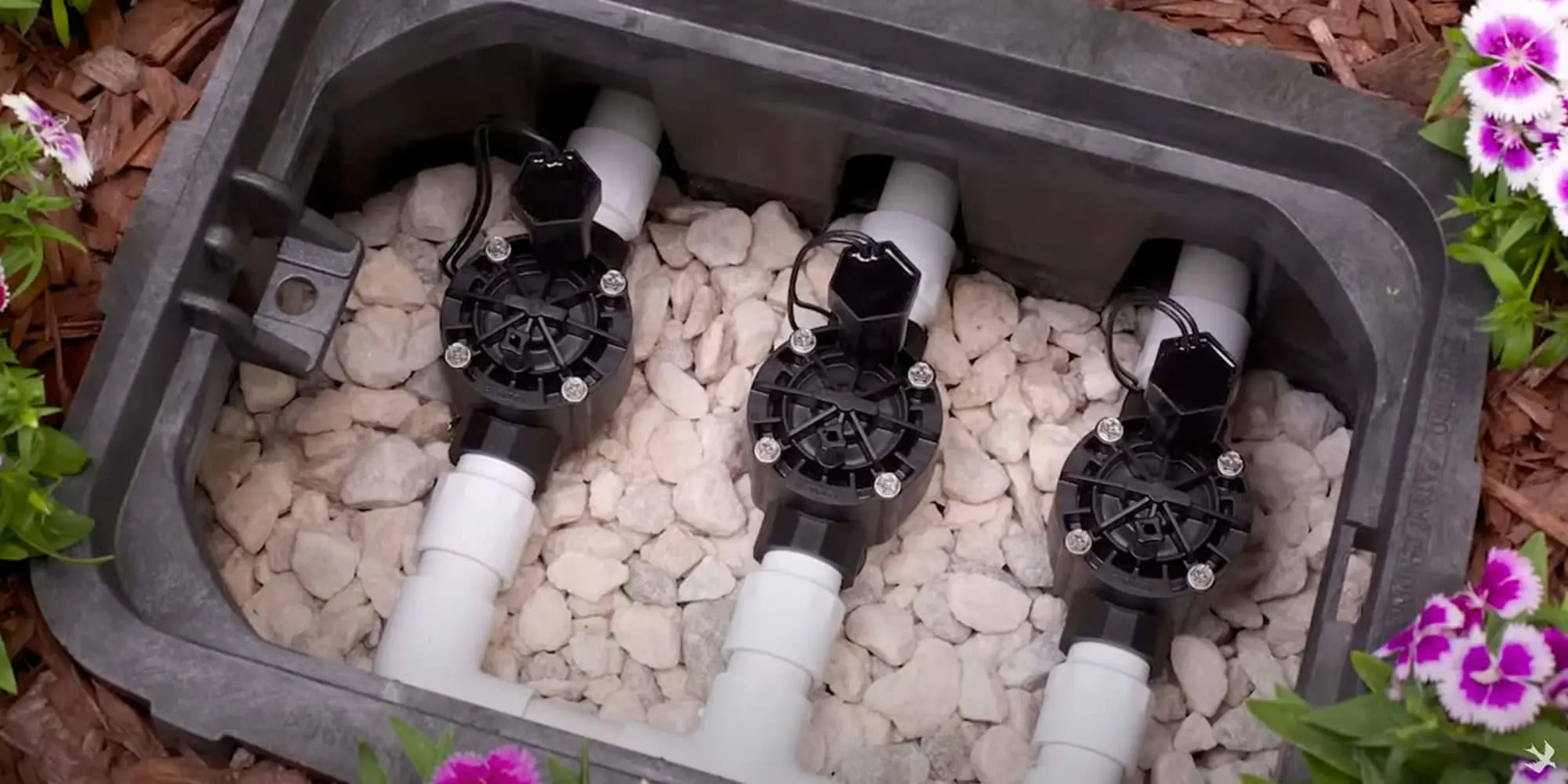 Garden irrigation valve box with three black water valves, white pipes, and gravel, surrounded by purple flowers.
