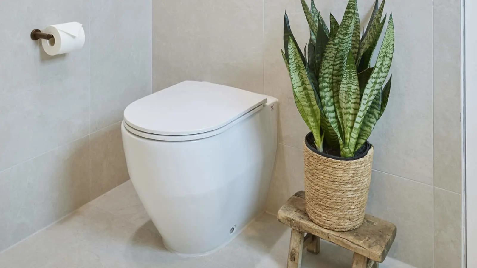 Modern white toilet with snake plant in woven basket on wooden stool, toilet paper mounted on wall.