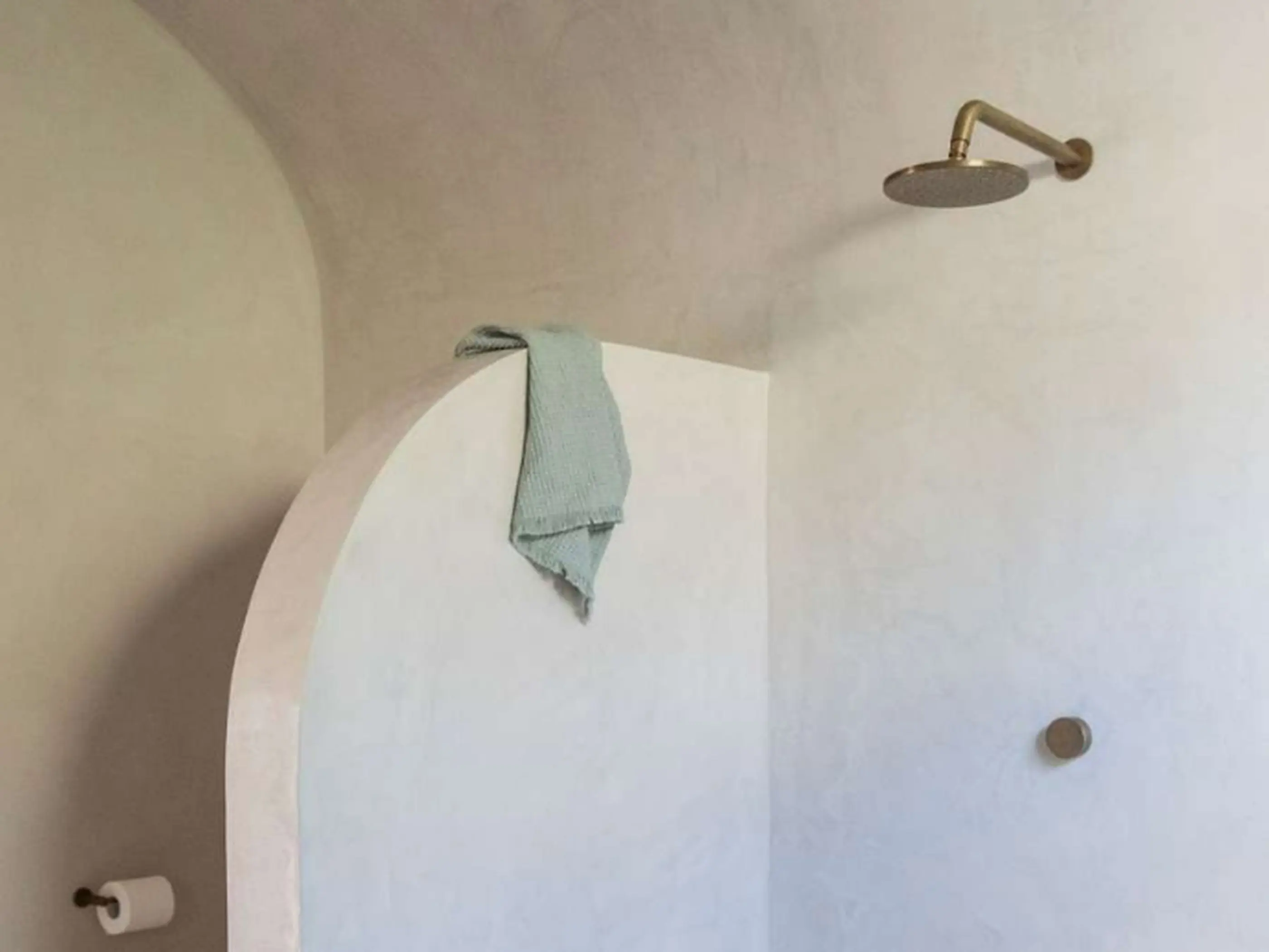 Minimalist bathroom with arched doorway, brass rainfall showerhead, light blue towel, and toilet paper holder.