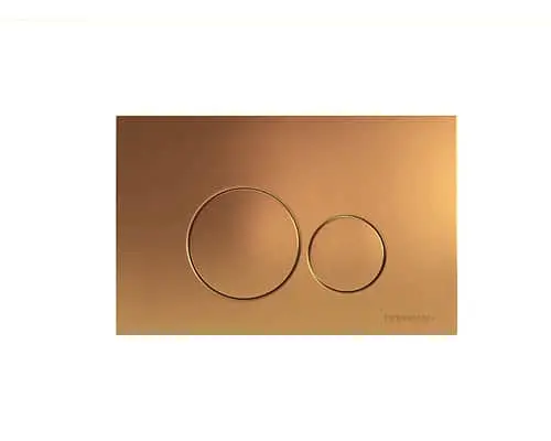 Hideaway+ bronze-colored flush plate with two circular buttons for toilet flushing.