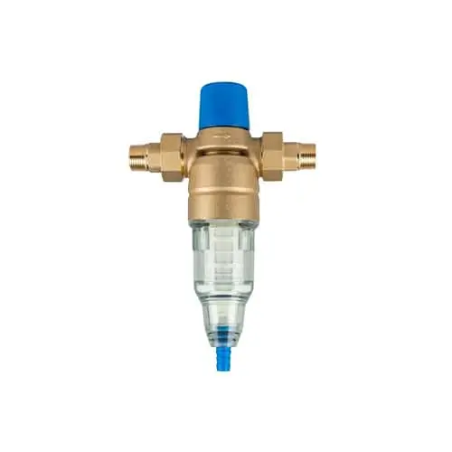 Brass water filter with blue cap, clear housing, and threaded connections for plumbing installation.