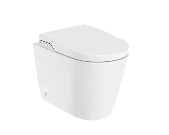 Roca In Wash Inspira toilet pan.