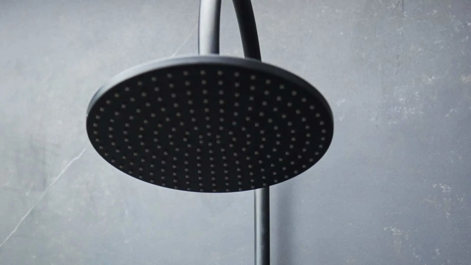 Round black rainfall shower head with multiple water holes mounted against a gray wall.
