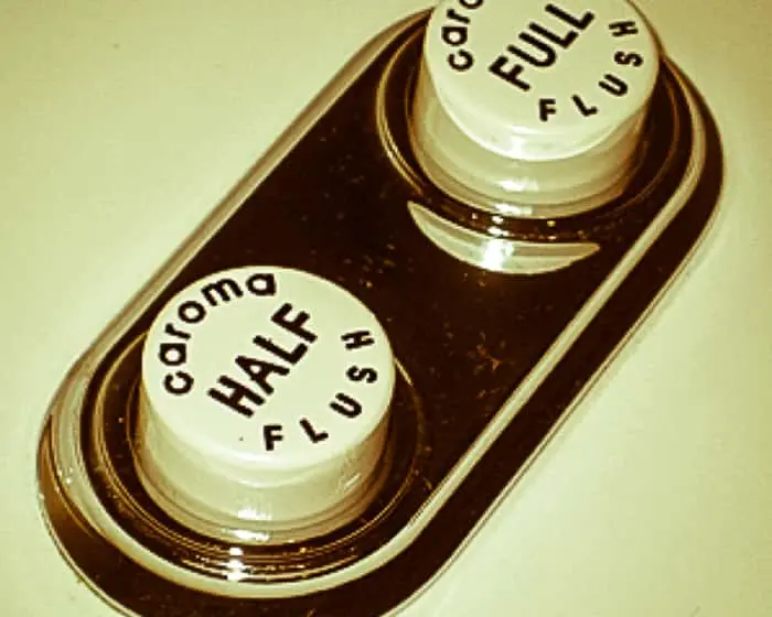 Vintage toilet flush mechanism with two white buttons labeled "HALF FLUSH" and "FULL FLUSH" on a brown base.
