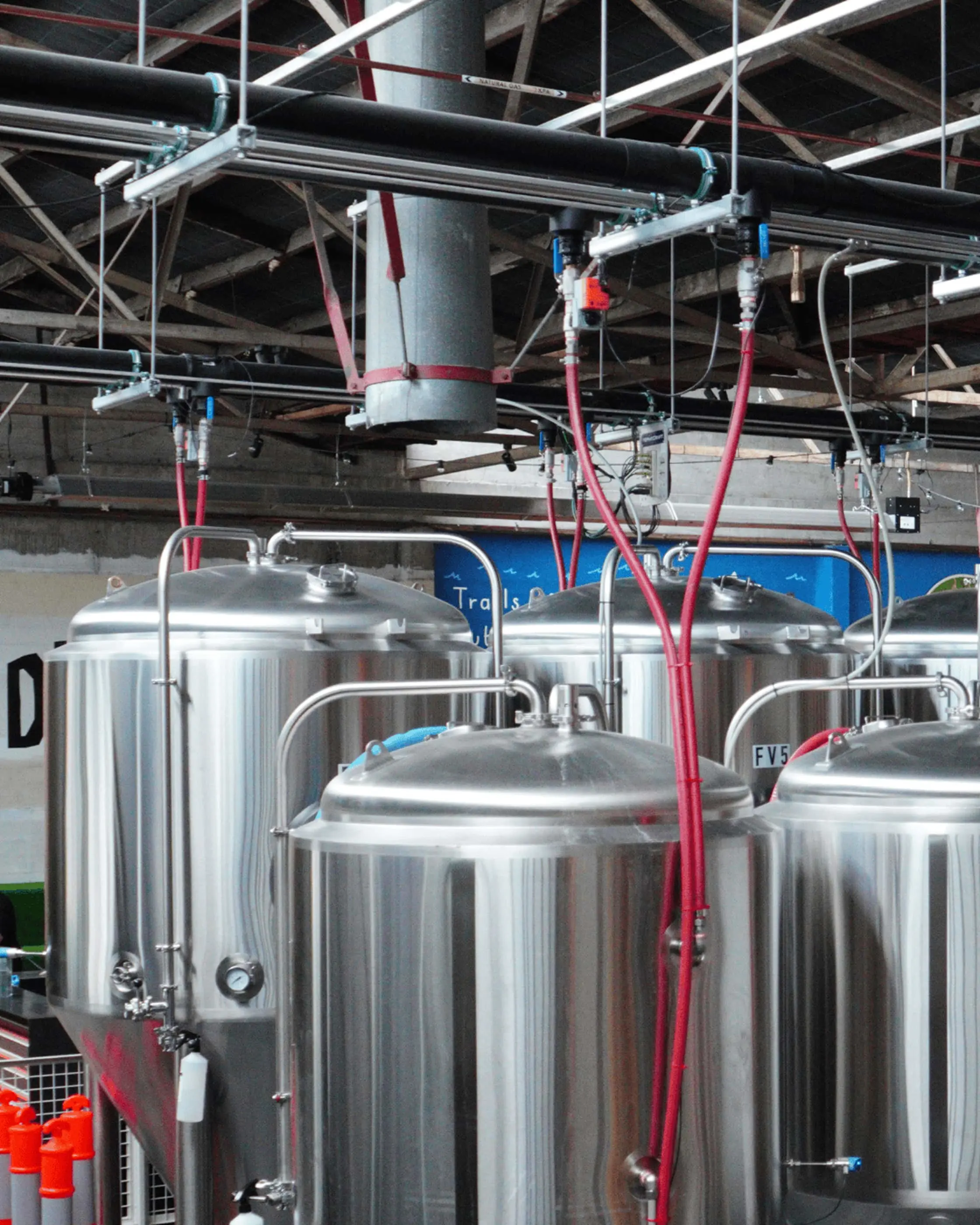 Stainless steel brewing tanks with red hoses connected to overhead piping system in a brewery production facility.