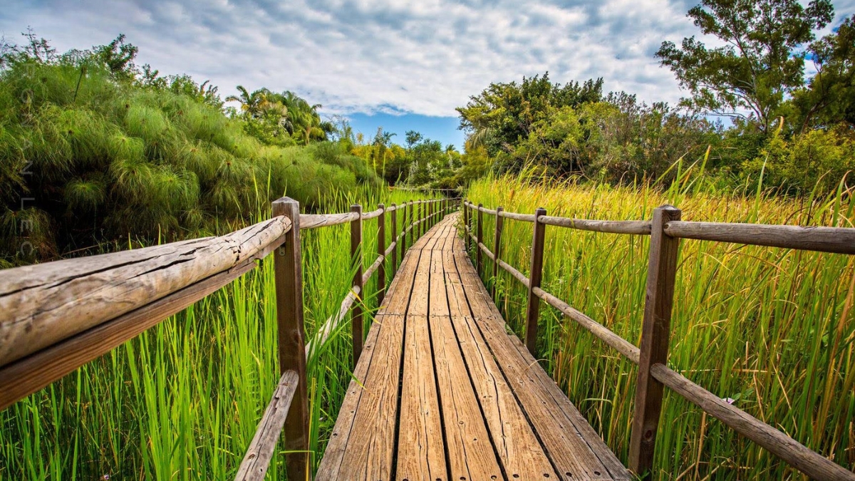 jardin-eden-saint-gilles-reunion